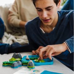 Joc - Treasure Island