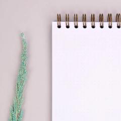 Notebook cadou pentru prieteni - Jurnal Idei adormite