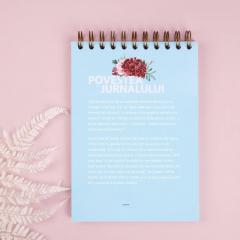 Caiet de schite si notite cadou pentru iubitorii de arta - The Earth Without Art