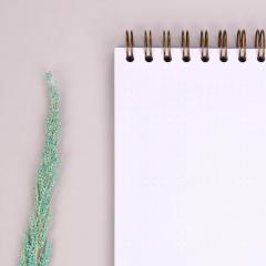 Carnet - Jurnalul recunostintei