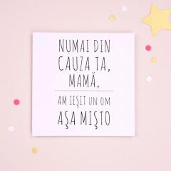 Felicitare - Vina mamei