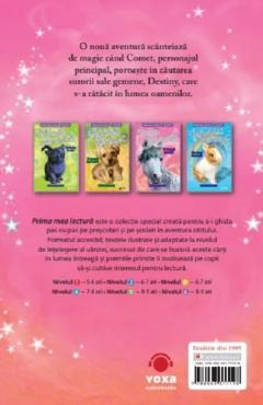 Poneii fermecati - O dorinta speciala