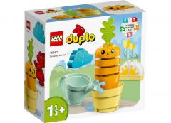 LEGO Duplo - Growing Carrot (10981)