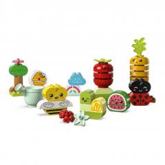 LEGO Duplo - Organic Garden (10984)