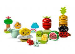 LEGO Duplo - Organic Garden (10984)