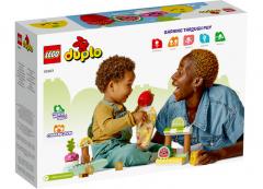 LEGO Duplo - Organic Market (10983)