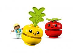 LEGO Duplo - Fruit and Vegetable Tractor (10982)