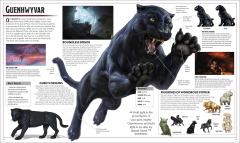 Dungeons & Dragons The Legend of Drizzt Visual Dictionary