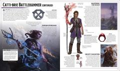 Dungeons & Dragons The Legend of Drizzt Visual Dictionary