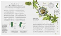 The Science of Gardening