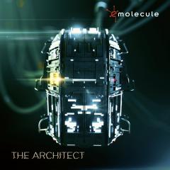 The Architect - Vinyl