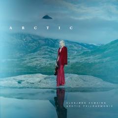 Arctic - Vinyl