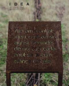 Revista IDEA arta + societate #53
