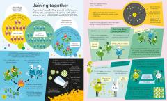 Book And Jigsaw: Atoms and Molecules