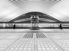 Hasselblad Masters Volume 4: Evolve