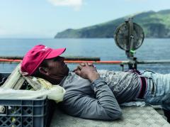 Hasselblad Masters Volume 4: Evolve