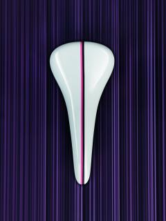 Hasselblad Masters Volume 4: Evolve