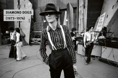 David Bowie: Rock ’n’ Roll with Me