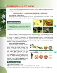 Biologie - Manual pentru clasa a VI-a