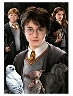 Puzzle 1000 piese - Harry Potter - Miniature - Model 1