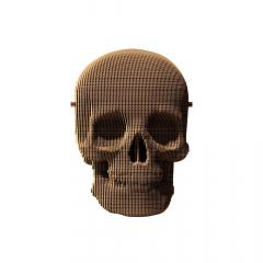 Puzzle 3D - Skull