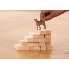 Figurina - Pisica Abisiniana