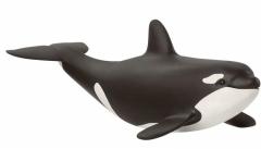 Figurina - Baby Killer Whale
