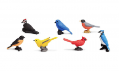 Tub cu figurine - Backyards Birds