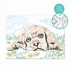 Set pictura - Paint & Frame - Catelusul iubitor