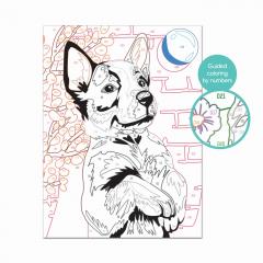 Set pictura - Paint & Frame - Husky jucaus