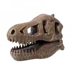 Kit de sapat - Craniu Tyrannosaurus