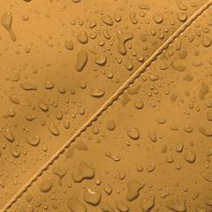 Rucsac - Jasper Medium - Lotus Honey Mustard