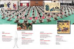 An Insider's Guide to the Japanese Martial Arts