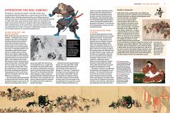 An Insider's Guide to the Japanese Martial Arts