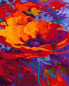 Set pictura pe numere - Maci