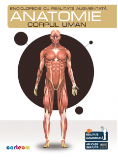 Anatomie - Corpul Uman