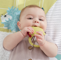 Jucarie - Saltea cu activitati si accesorii