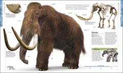 Dinosaurs and Prehistoric Life