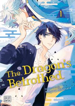 The Dragon's Betrothed - Volume 1