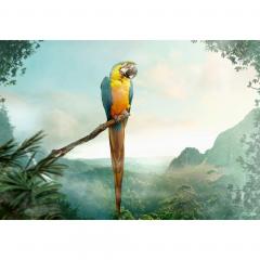 Puzzle 99 piese - Moment - Papagal