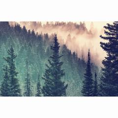 Puzzle 200 piese - Moment - Forest