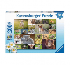 Puzzle clasic - Pui de animale - 200 piese