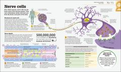 How Biology Works