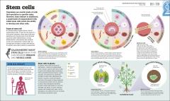 How Biology Works