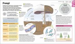 How Biology Works