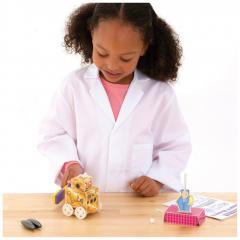 Jucarie educativa - Horrible Science - Mighty Magnets, The Kit