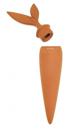 Stropitoare - Terracotta Watering Stake