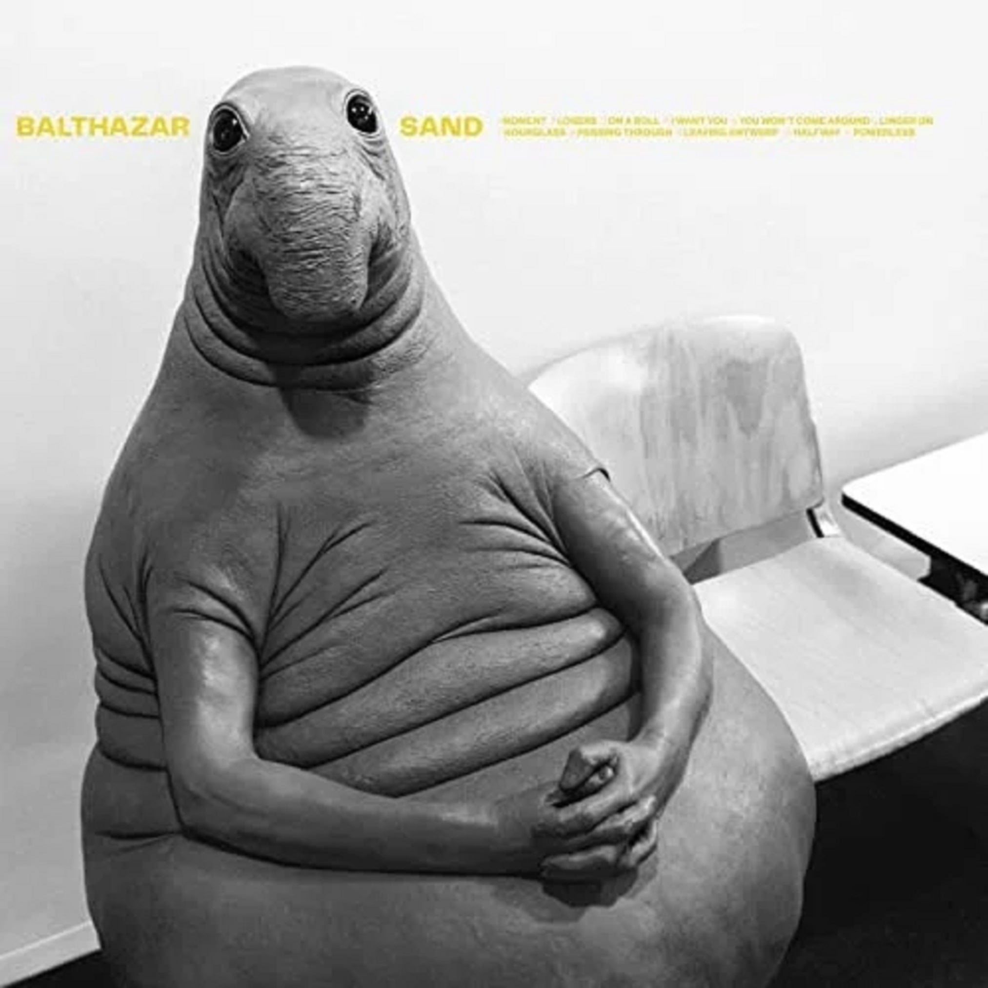 Sand - Vinyl
