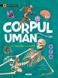 Corpul uman