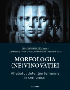 Coperta cărții Morfologia (ne)vinovatiei